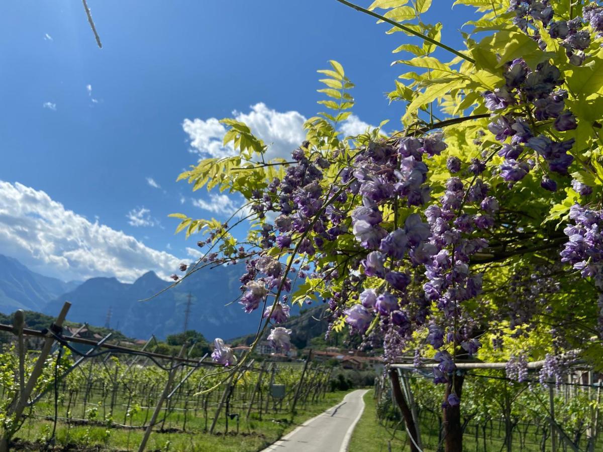 Garda Baldo Apartments Torbole Sul Garda Luaran gambar