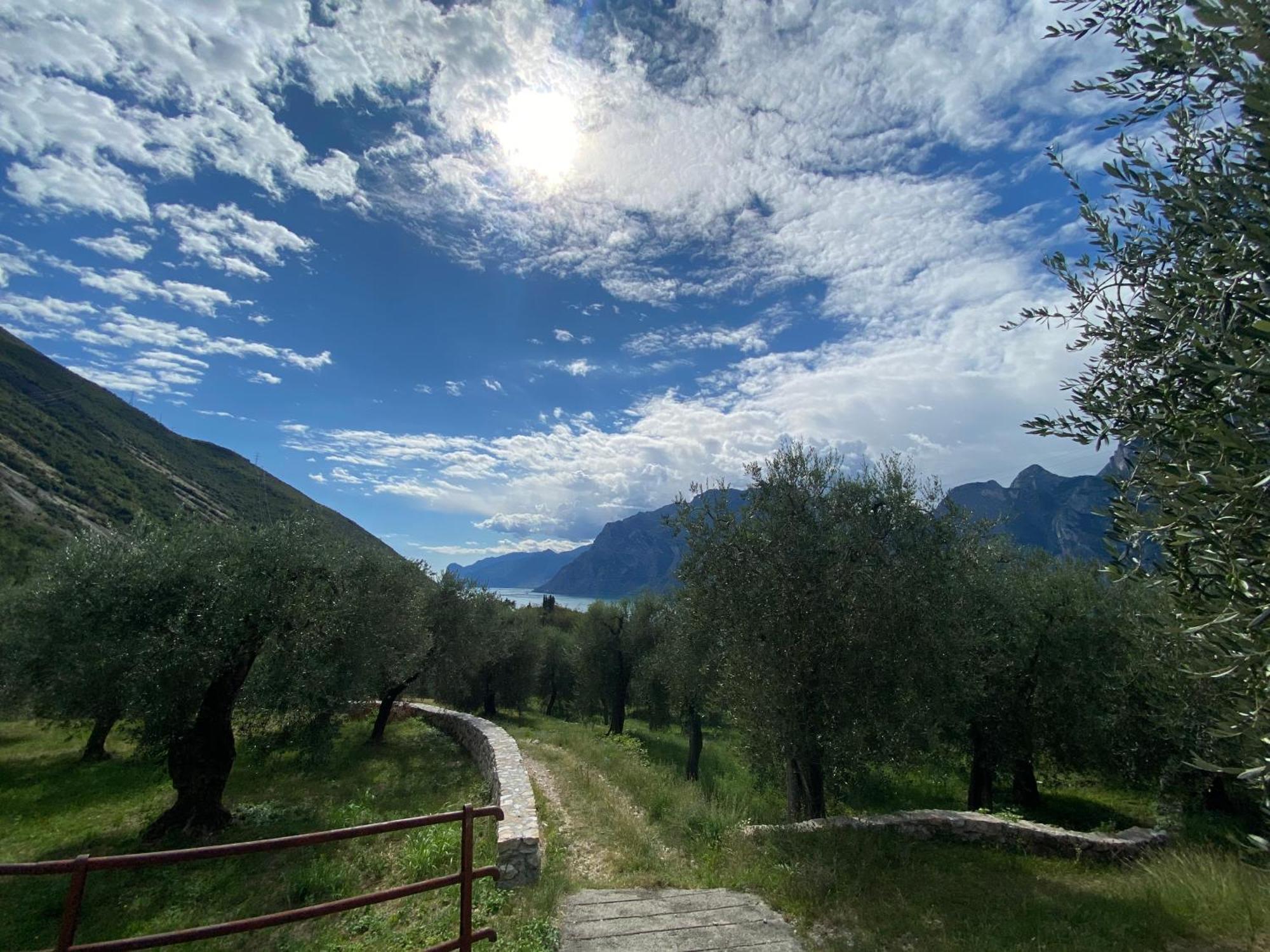 Garda Baldo Apartments Torbole Sul Garda Luaran gambar